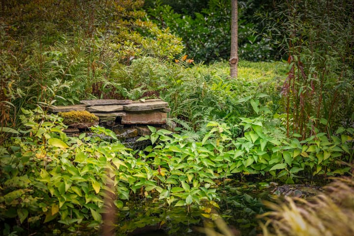 Foto 59 van Hazeloop 4