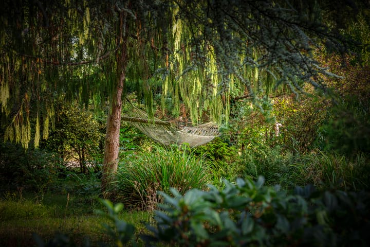 Foto 62 van Hazeloop 4