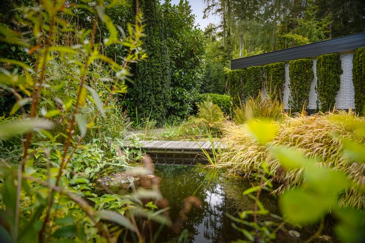 Foto 63 van Hazeloop 4