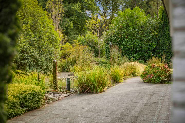 Foto 64 van Hazeloop 4