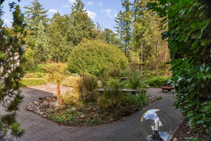 Foto 66 van Hazeloop 4