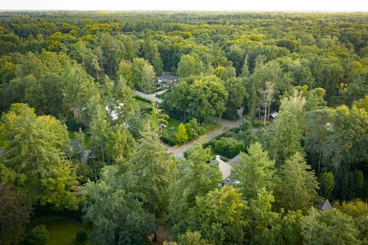 Foto 67 van Hazeloop 4