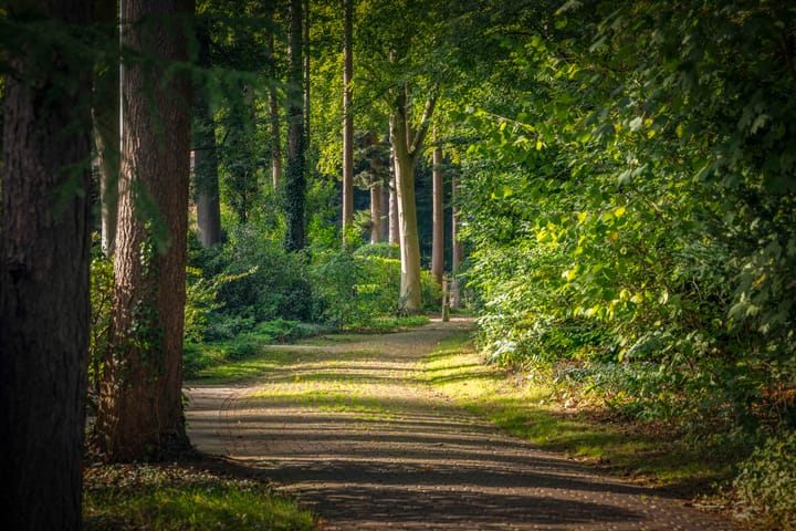 Foto 68 van Hazeloop 4