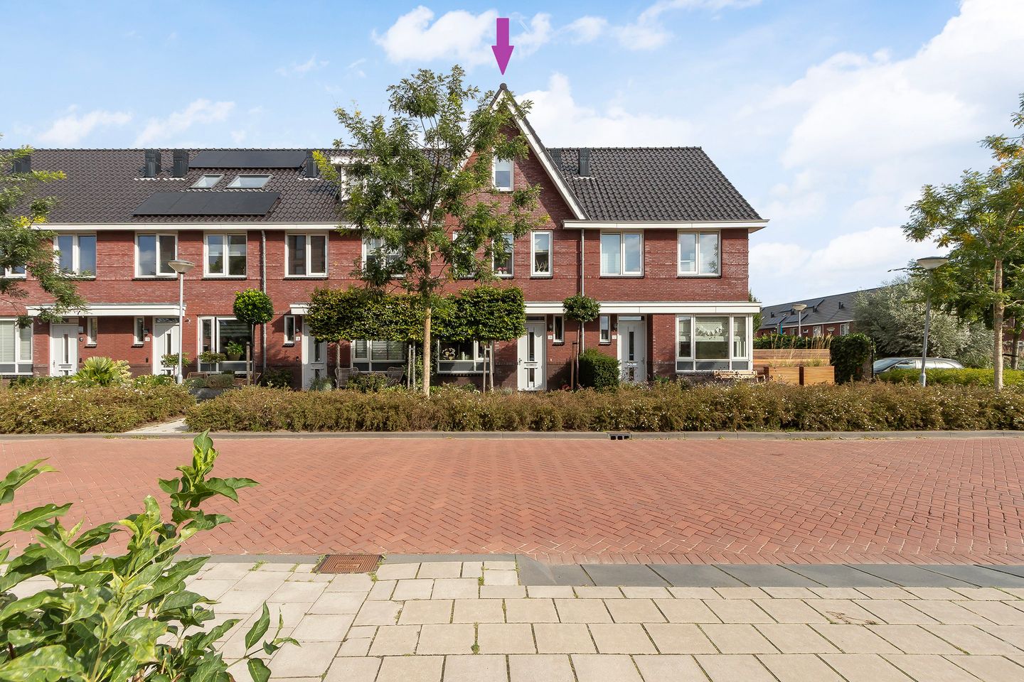 Foto 1 van Menagerie 14