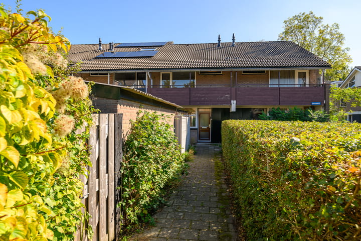 Foto 2 van Braambes 3