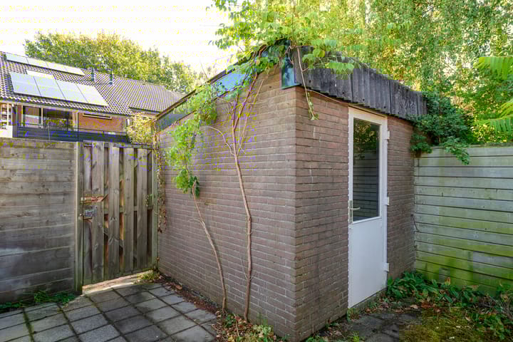 Foto 20 van Braambes 3