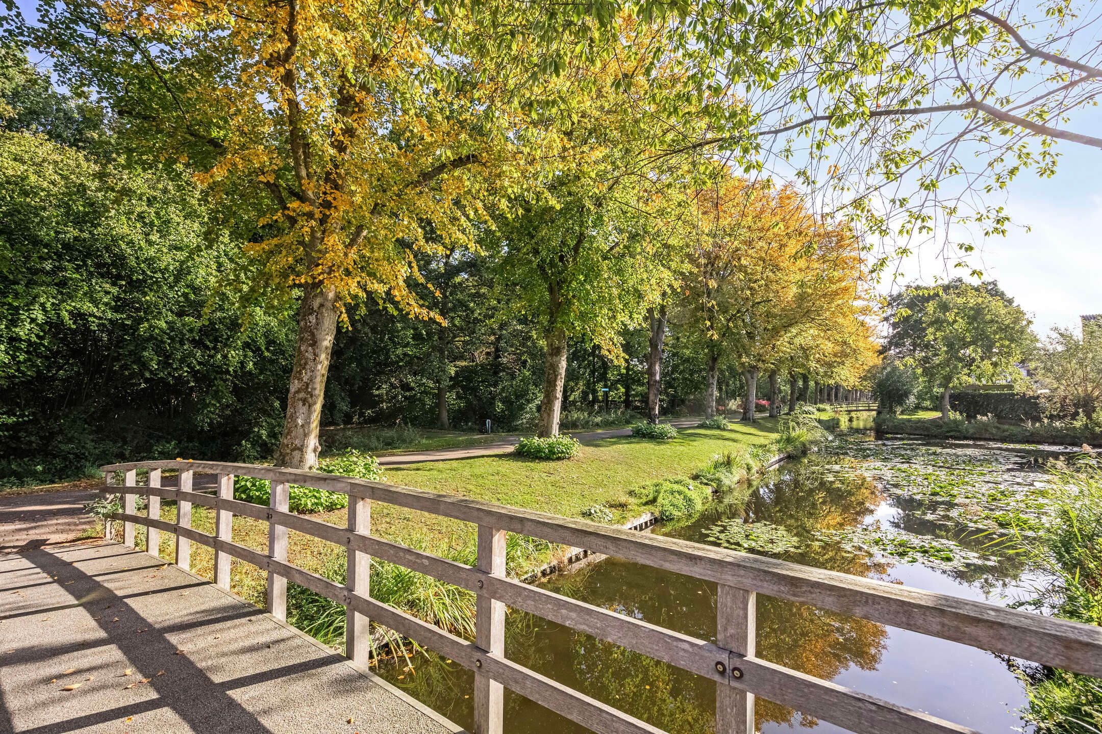 Foto 54 van Pieter de Hooghlaan 12