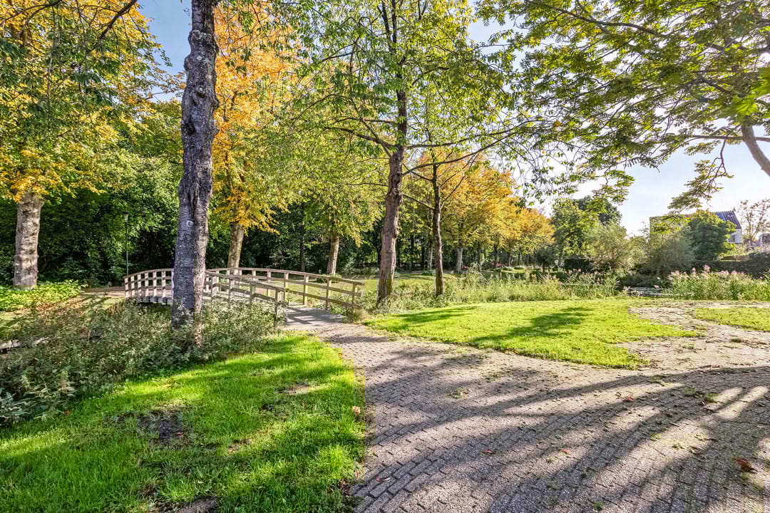 Foto 53 van Pieter de Hooghlaan 12