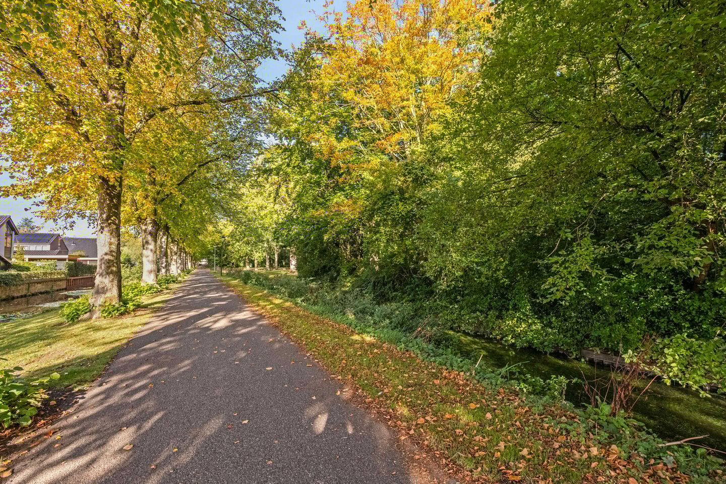 Foto 55 van Pieter de Hooghlaan 12