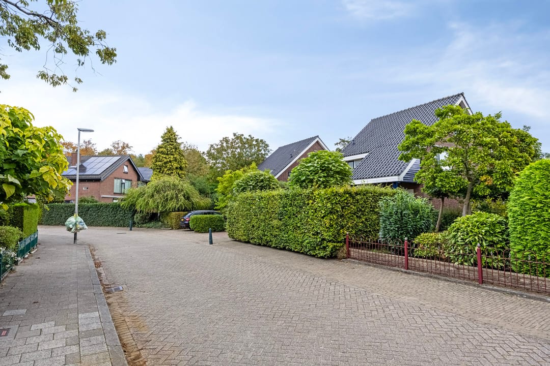 Foto 56 van Pieter de Hooghlaan 12