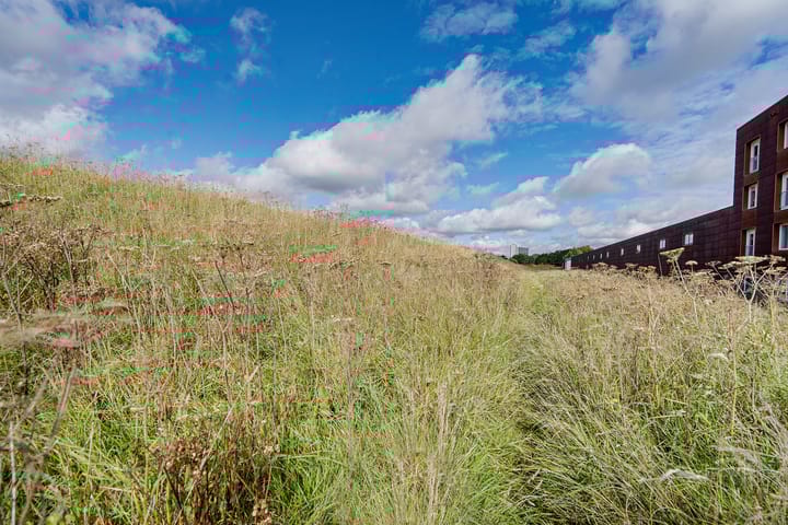 Foto 30 van Spieringweg 605-L