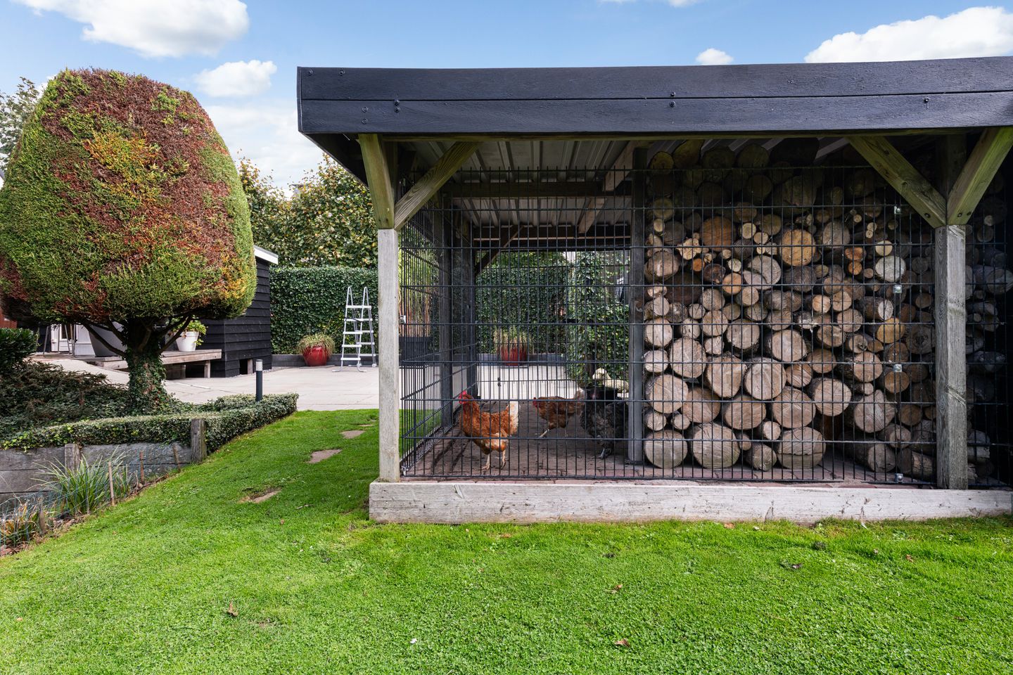 Foto 10 van Willeskop 73-A