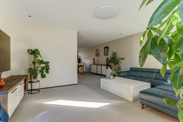 Foto 5 van Aardbeivlinder 125