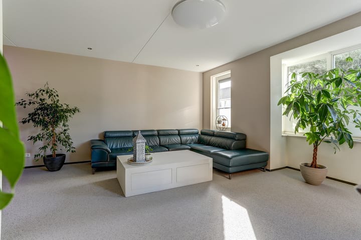 Foto 7 van Aardbeivlinder 125