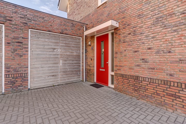 Foto 41 van Aardbeivlinder 125