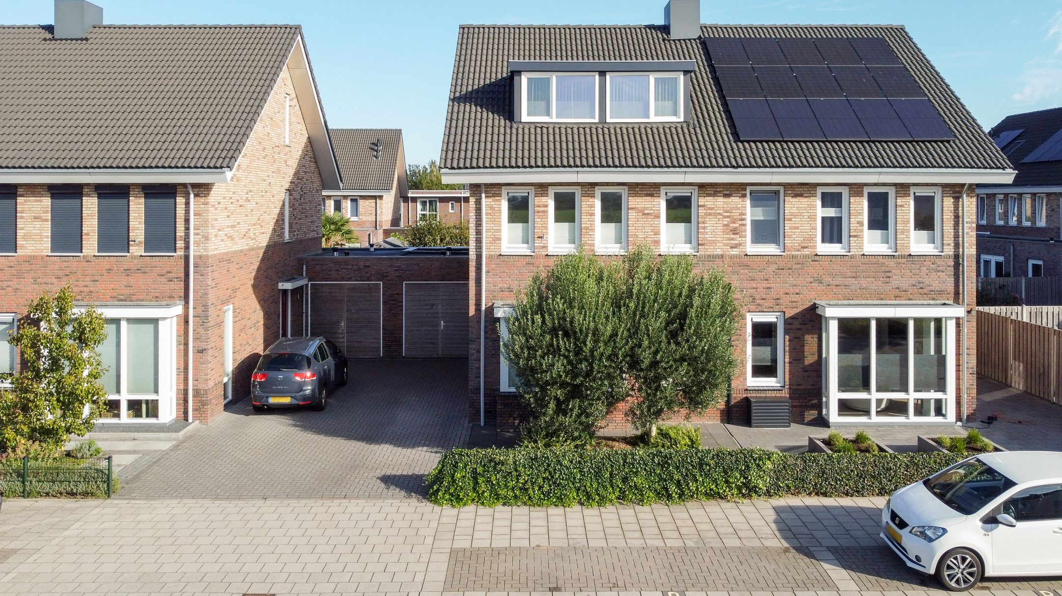Photo 42 of Aardbeivlinder 125