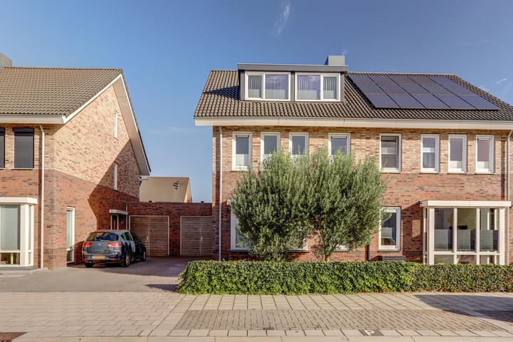 Foto 44 van Aardbeivlinder 125