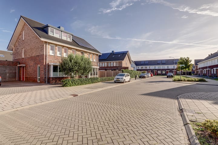 Foto 47 van Aardbeivlinder 125