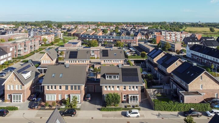 Foto 48 van Aardbeivlinder 125