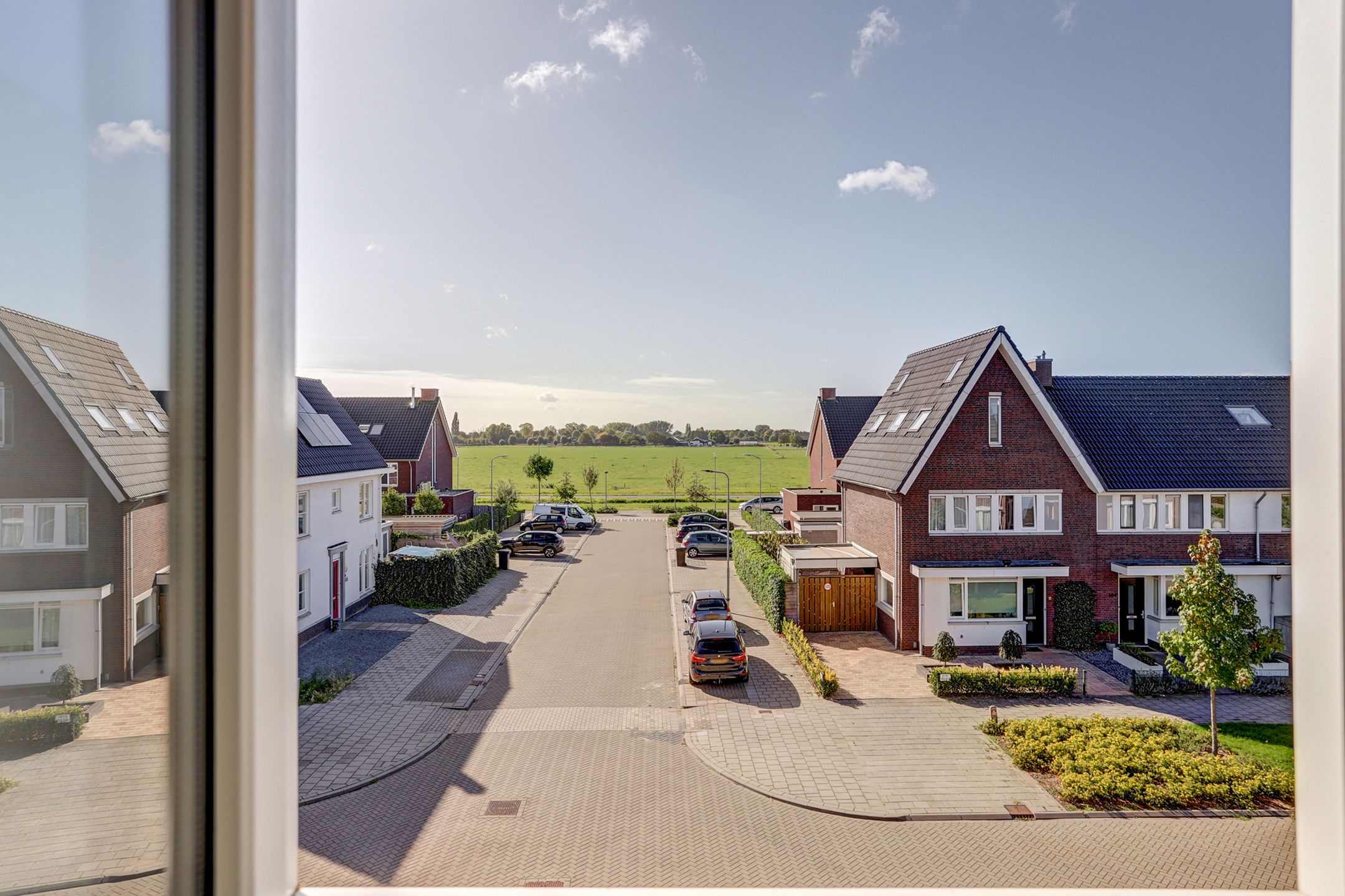 Photo 51 of Aardbeivlinder 125