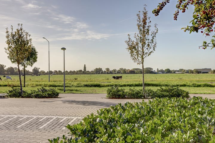 Foto 52 van Aardbeivlinder 125