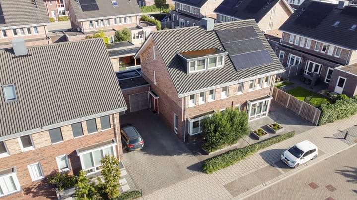 Foto 53 van Aardbeivlinder 125