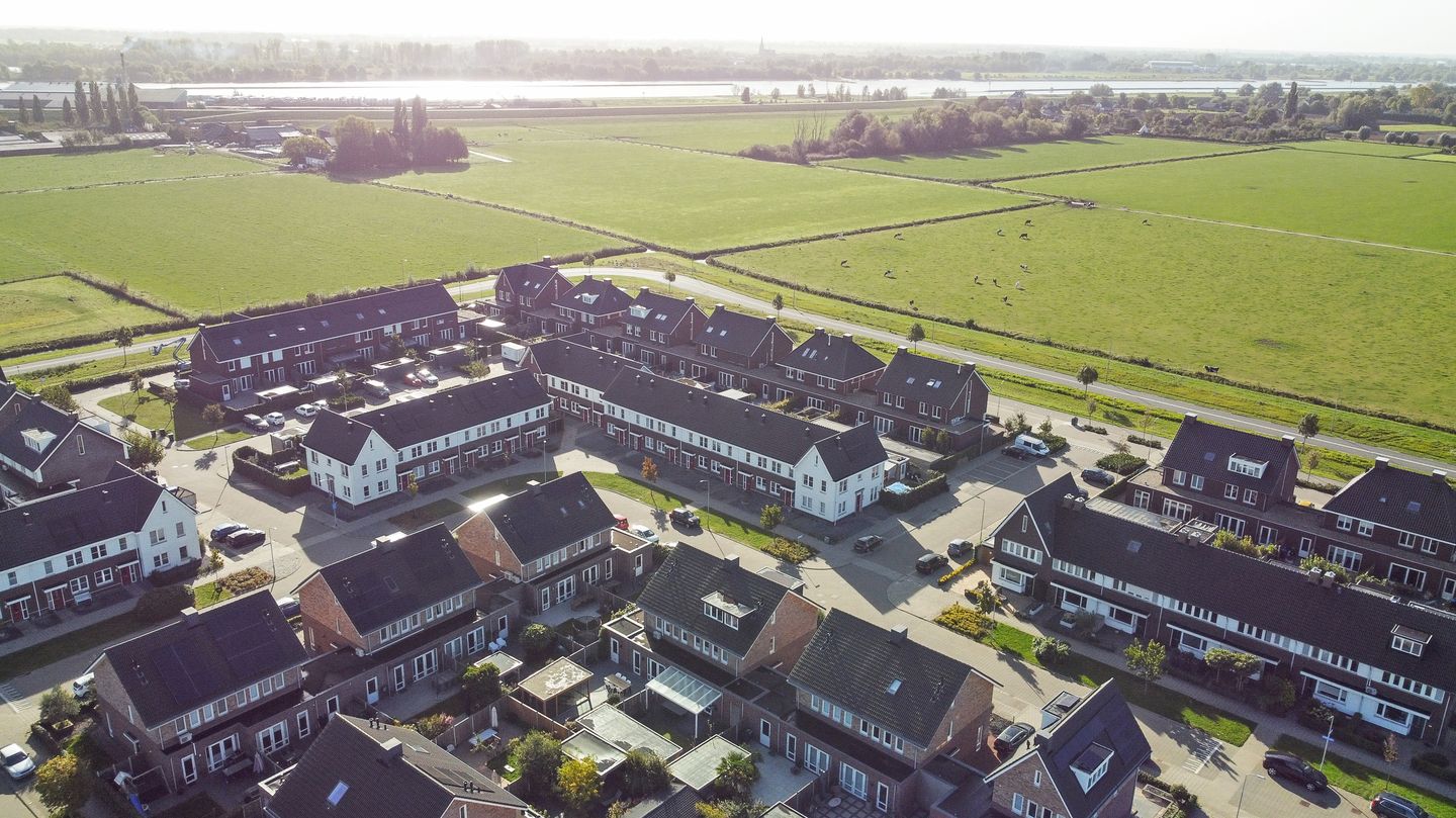 Photo 50 of Aardbeivlinder 125