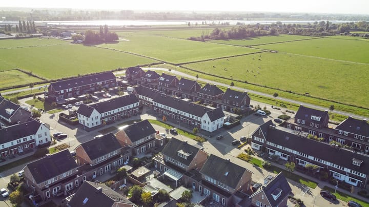 Foto 50 van Aardbeivlinder 125