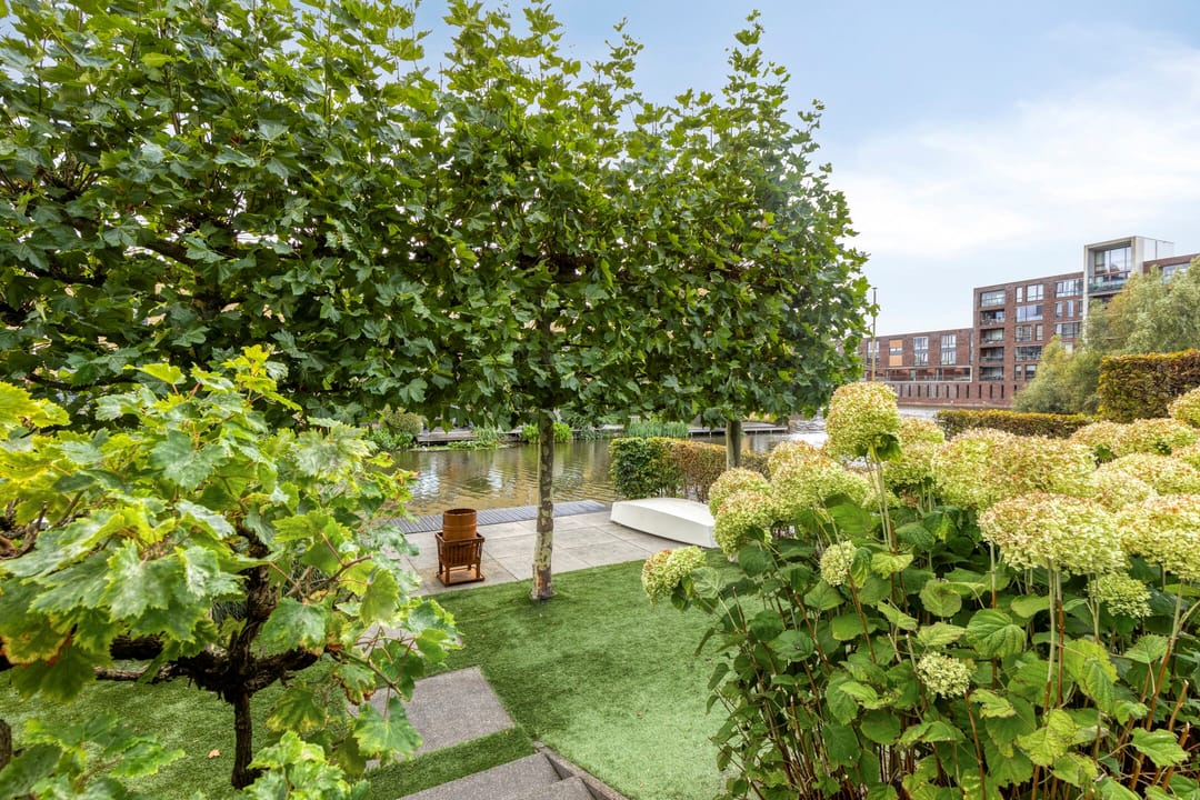 Foto 31 van Struisgras 21