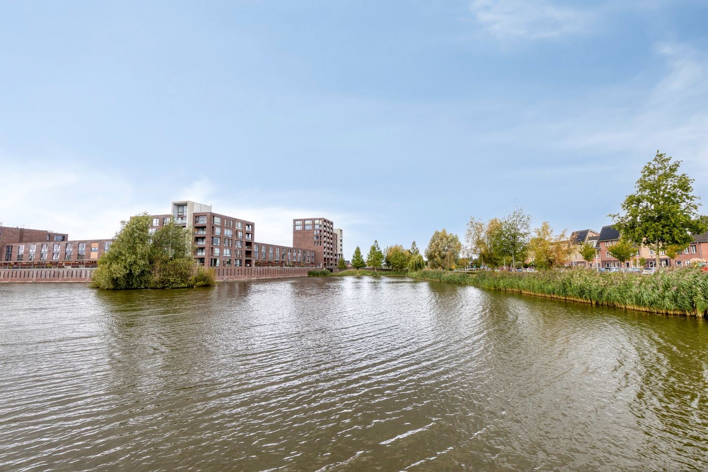 Foto 50 van Struisgras 21