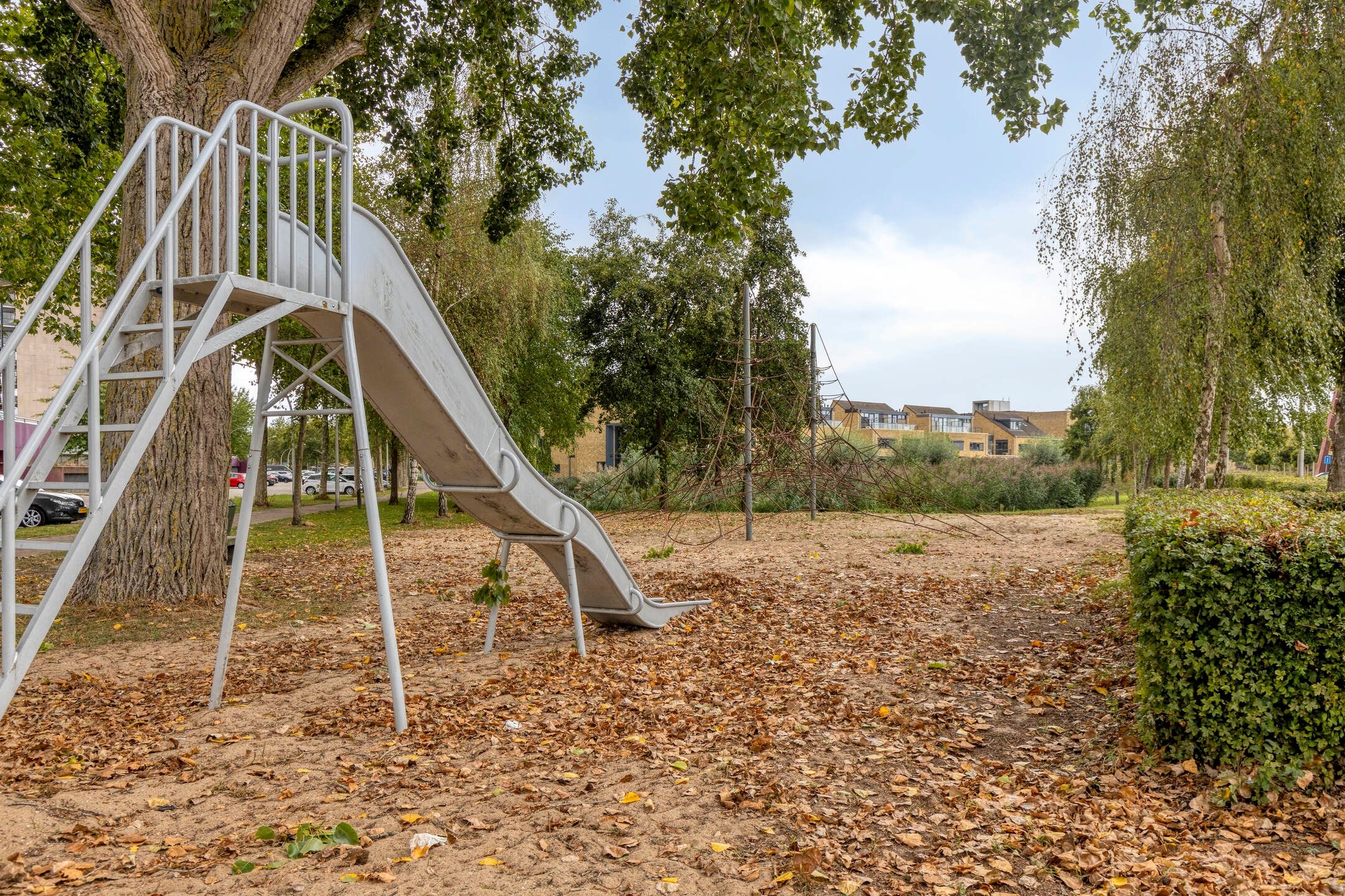 Foto 51 van Struisgras 21