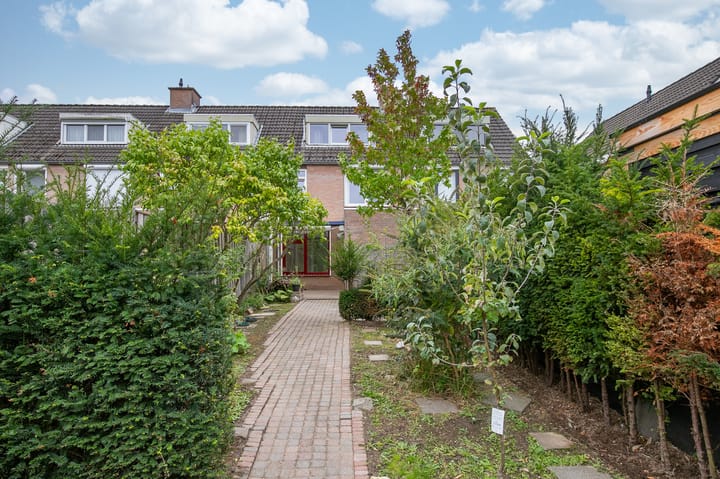 Foto 21 van Palestinastraat 384