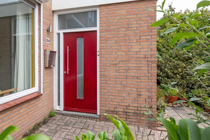 Foto 24 van Palestinastraat 384