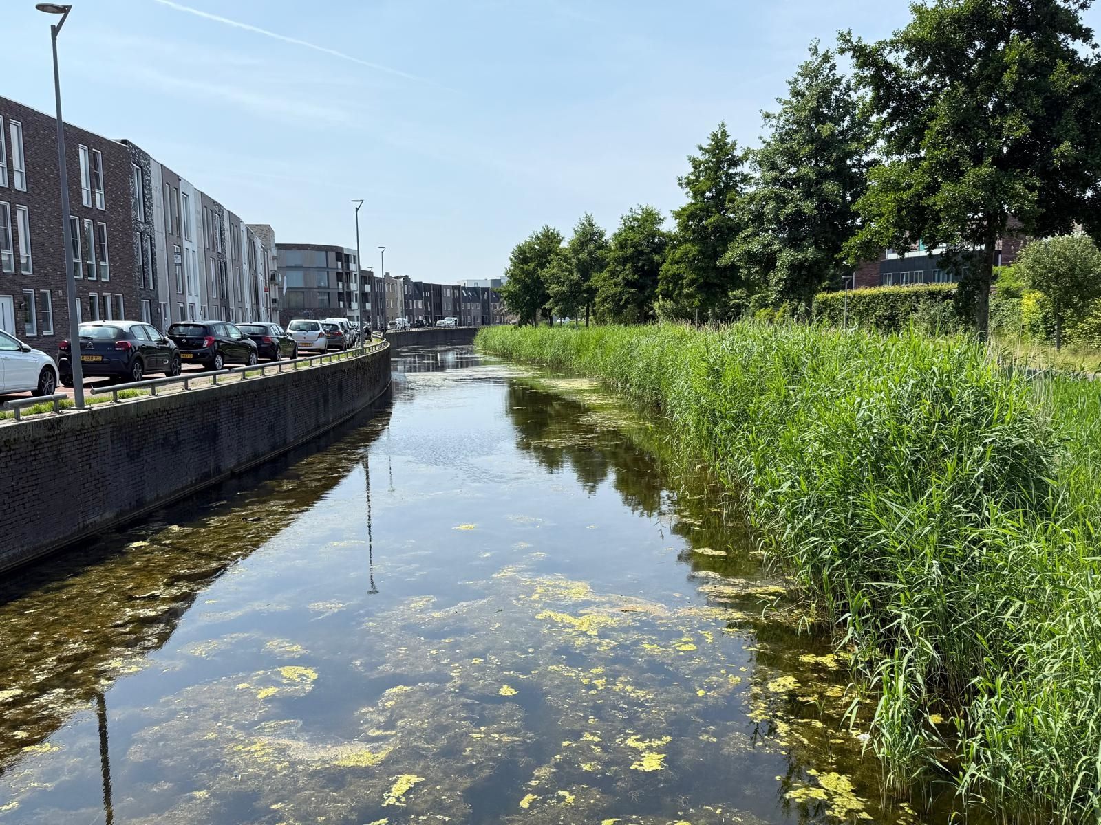 Photo 24 of Scandinaviëkade 49