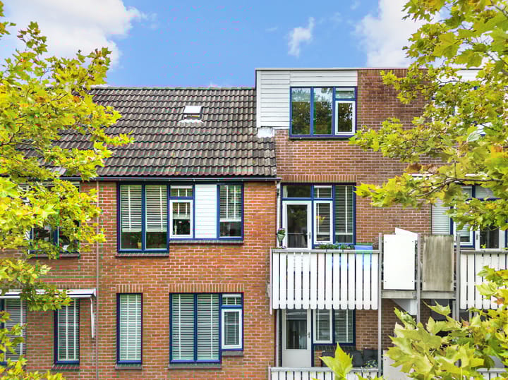 Photo 5 of Stuifzwam 68