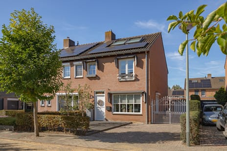 undefined main image