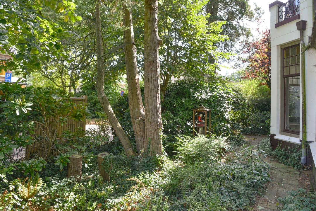 Foto 31 van Boslaan 8