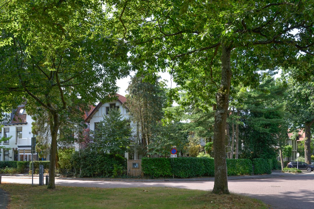 Foto 32 van Boslaan 8