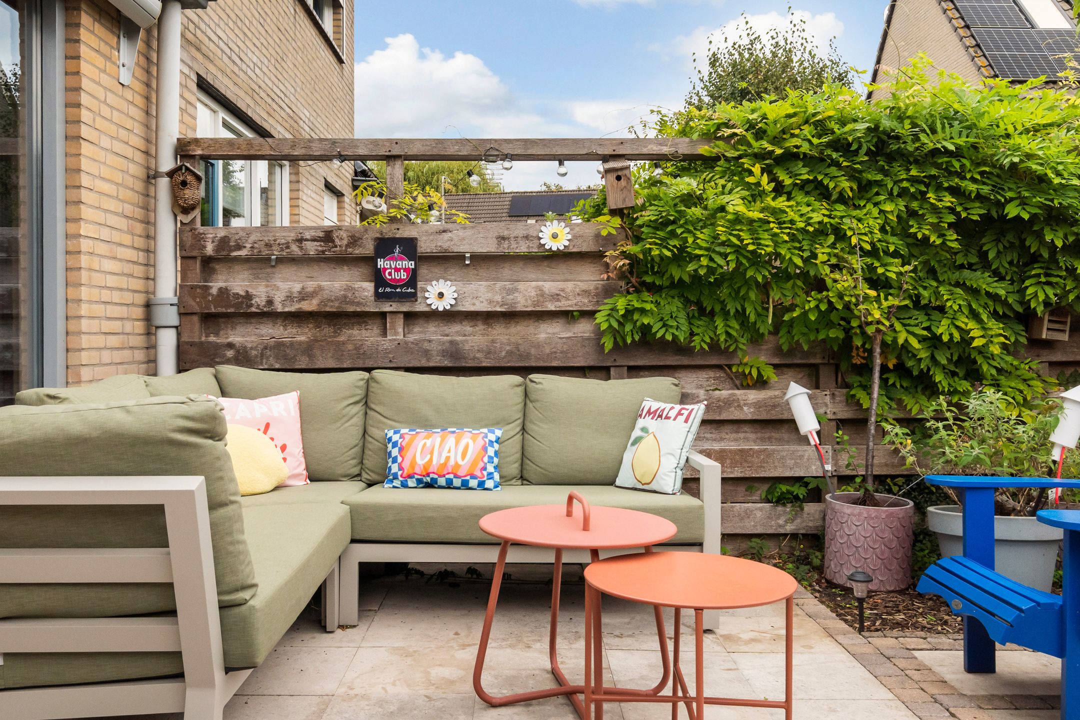 Foto 36 van Oliemolen 14