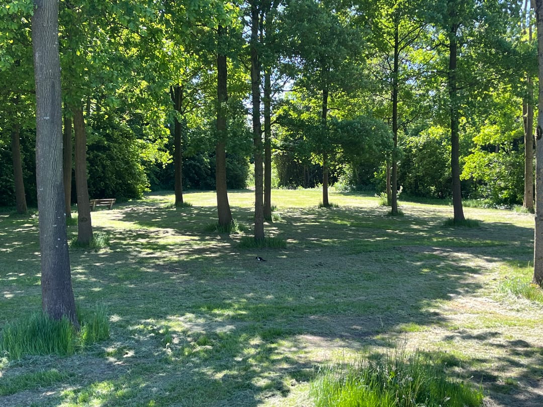 Foto 56 van Roef 31