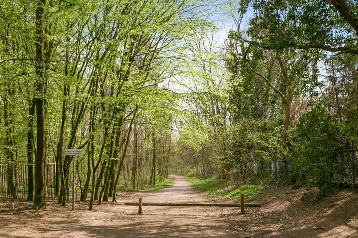 Foto 35 van Iepelaar 47