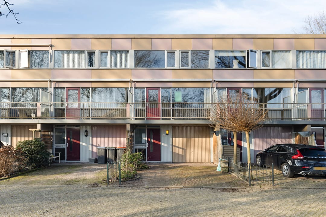 Foto 7 van Korenbloem 8