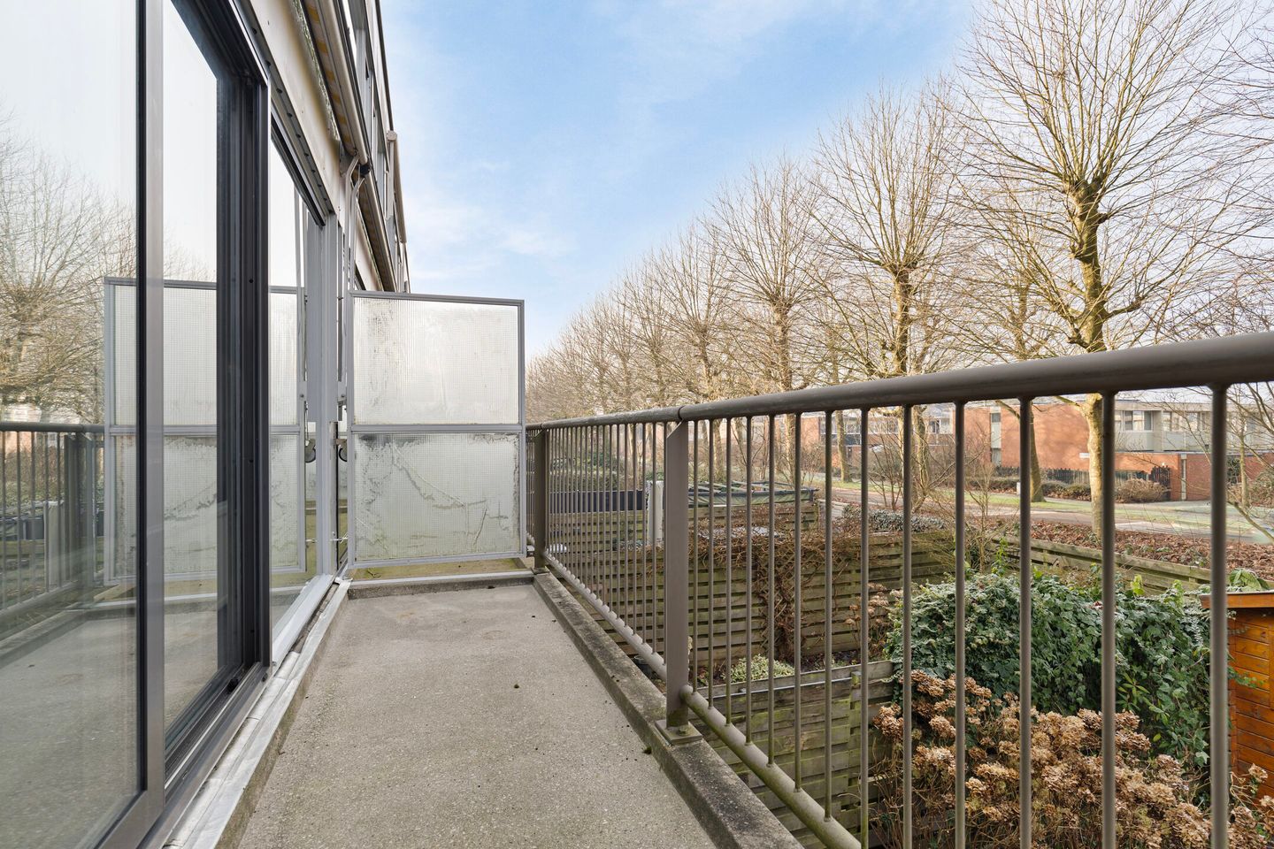 Foto 20 van Korenbloem 8