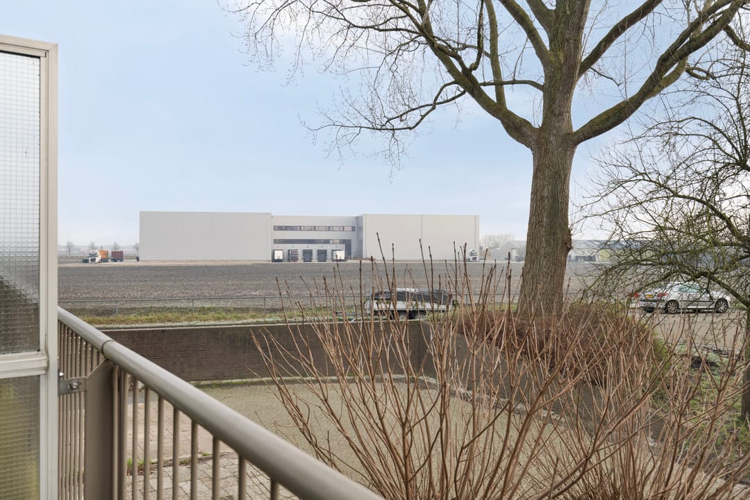 Foto 22 van Korenbloem 8