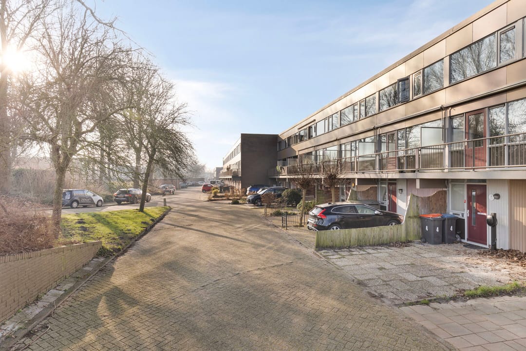 Foto 43 van Korenbloem 8