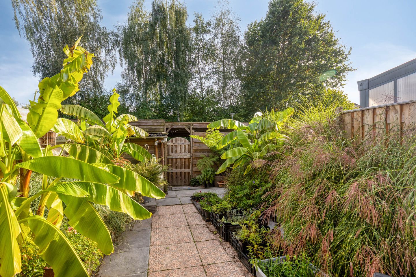 Foto 29 van Hoge Borgh 26