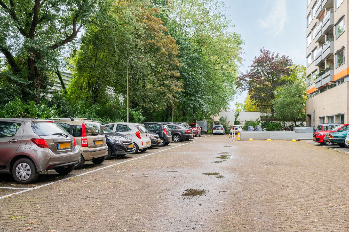 Foto 19 van Laan van Borgele 40-F808