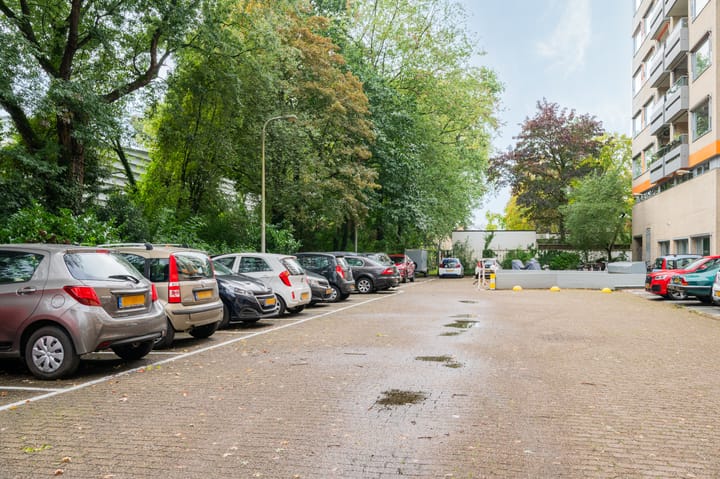 Foto 19 van Laan van Borgele 40-F808