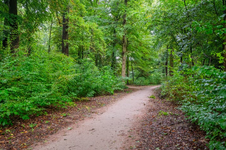 Foto 20 van Laan van Borgele 40-F808