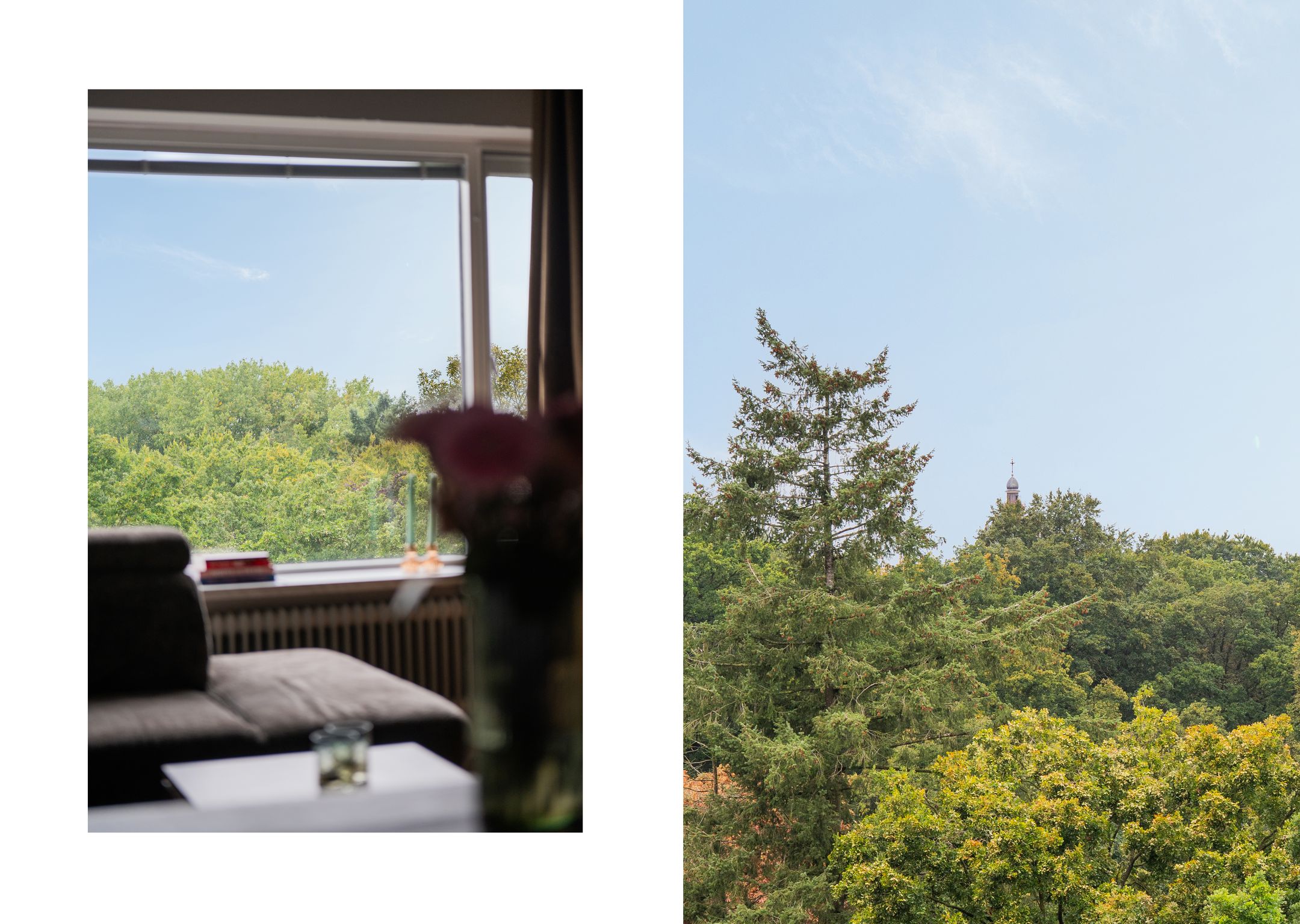 Foto 3 van Laan van Borgele 40-F808